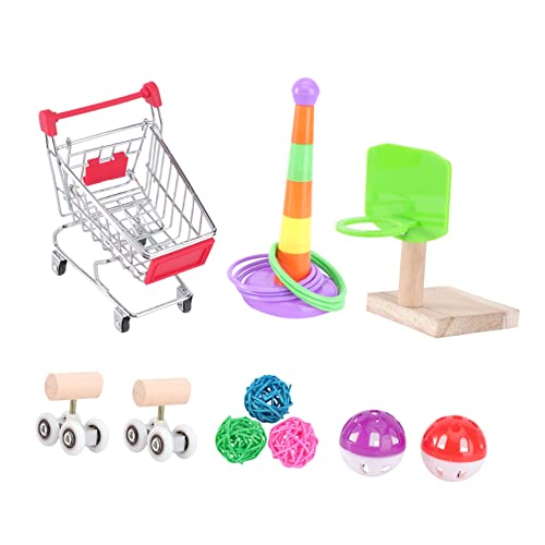 Abaodam 1satz Papageien Spielzeug Bunte Nage Und Spielmöglichkeiten Für Vögel Interaktives Skateboard Mit Pulley-Funktion Fördert Die Aktivität Und Gesundheit Von Haustieren Für von Abaodam