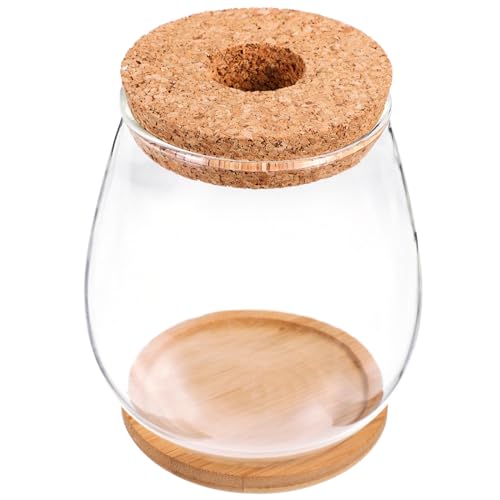Abaodam 1 Set Mikro-Landschafts-Terrarium-Glas-Pflanzgefäß mit Matte, Pflanzenbehälter für Heimdekoration, Hydrokultur-Display und Aufbewahrung von Abaodam