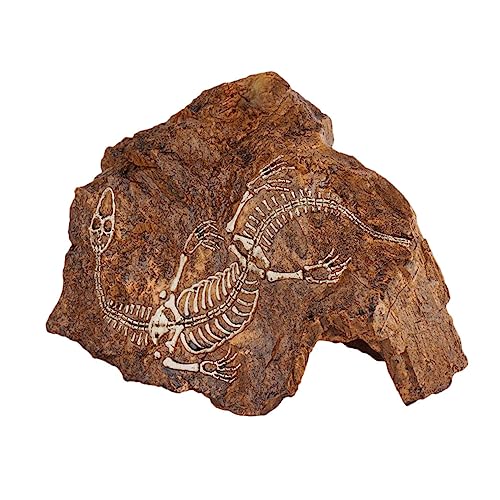 Abaodam 1 Stück Aquarium Dekoration Kunstharz Schädel Ornament für Fischbecken Design Versteck für Fische Langlebig und Leicht für Aquarien und Terrarien Abaodam 1 Stück Aquarium Dekoration Kunstharz Schädel Ornament für Fischbecken Design Versteck für Fische Langlebig und Leicht für Aquarien und Terrarien von Abaodam