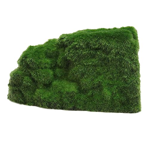 Abaodam Schildkröten Versteckhöhle aus Sicherem Material Aquarium Ornament für Reptilien Mooshöhlen Ornament 1Stück Arch Rinde Baum Loch Geeignet für Süßwasser und Meerwasser Aquarien Abaodam Schildkröten Versteckhöhle aus Sicherem Material Aquarium Ornament für Reptilien Mooshöhlen Ornament 1Stück Arch Rinde Baum Loch Geeignet für Süßwasser und Meerwasser Aquarien von Abaodam