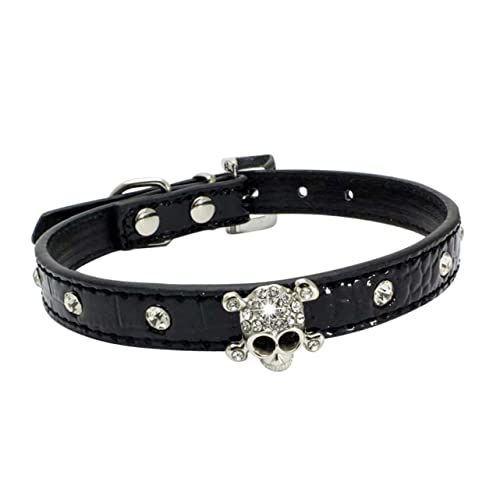 Abaodam 1 Stück Schädelhundkragen Stilvoll für Hunde für Haustiere Gothic Hochzeit gotisch Schädelkragen Halloween-Halsband für Haustiere Party-Kragen Pu Black Abaodam 1 Stück Schädelhundkragen Stilvoll für Hunde für Haustiere Gothic Hochzeit gotisch Schädelkragen Halloween-Halsband für Haustiere Party-Kragen Pu Black von Abaodam