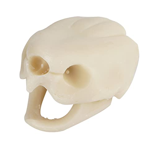 Abaodam 1 Stück Schildkrötenschädel Ornamente Leicht Zu Reinigende Aquarium Dekoration Aquarium Rahmen Ornament Tierdekor Mini Schädel Zum Basteln Lebendige Totenkopfform Dekoration von Abaodam