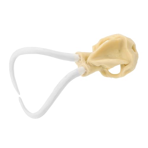 Abaodam 1 Stück Skull Aquarium Dekoration Unterwasser für Fischbehälter Langlebig und Detailgetreu für Kreative Aquarienlandschaften Bringt Aquarium Abaodam 1 Stück Skull Aquarium Dekoration Unterwasser für Fischbehälter Langlebig und Detailgetreu für Kreative Aquarienlandschaften Bringt Aquarium von Abaodam