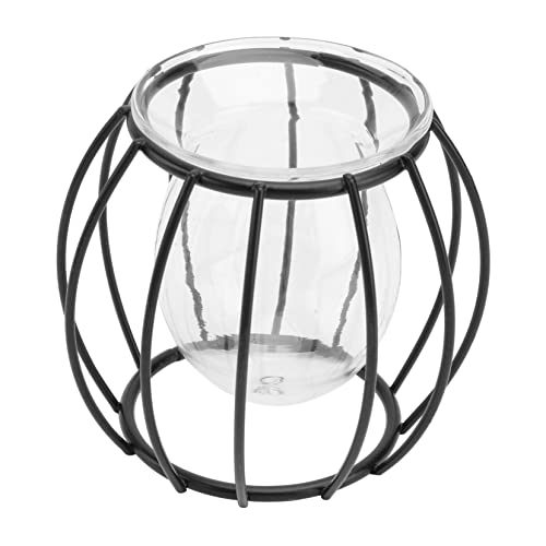 Abaodam 1 Stück hydroponische Vase dekorativ Anlage Vasen Home Office Decor für bürodeko büro Dekoration tischdeko esstisch Moderne Blumenvase glasvase Tischvase Büroschmuck Eisen Black von Abaodam
