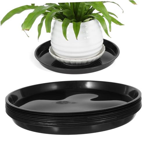 Abaodam 10 Stück Pflanzenuntersetzer Runde Blumentopf Untertassen Kunststoff Tropfschalen für und Außenpflanzen Wasserfeste Pflanzentabletts Flexible Abtropfschalen für Blumentöpfe Abaodam 10 Stück Pflanzenuntersetzer Runde Blumentopf Untertassen Kunststoff Tropfschalen für und Außenpflanzen Wasserfeste Pflanzentabletts Flexible Abtropfschalen für Blumentöpfe von Abaodam