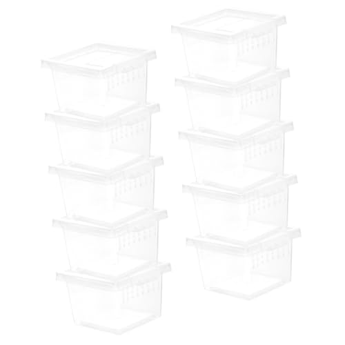 Abaodam 10 Stück Teiliges Reptilien Fütterungsbox Transparentes Terrarium für Kleine Haustiere Wie Spinnen und Geckos Langlebige Kunststoffkonstruktion zur Einfachen Beobachtung und Pflege Abaodam 10 Stück Teiliges Reptilien Fütterungsbox Transparentes Terrarium für Kleine Haustiere Wie Spinnen und Geckos Langlebige Kunststoffkonstruktion zur Einfachen Beobachtung und Pflege von Abaodam