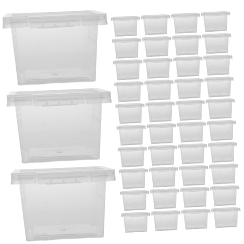 Abaodam 100Stücke Insektenzuchtbehälter Transparente Reptilienboxen für Spinnen Echsen und Frösche zu Reinigen Nest für Kleine Sicher und von Abaodam