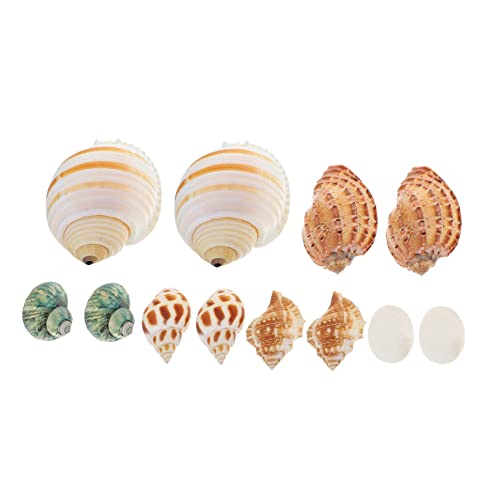 Abaodam 12 Stück Natürliche See Schnecken Aquarien Dekorationen für Fischbehälter DIY Landschaftsaccessoires für Einsiedlerkrebse und Aquariengestaltung Abaodam 12 Stück Natürliche See Schnecken Aquarien Dekorationen für Fischbehälter DIY Landschaftsaccessoires für Einsiedlerkrebse und Aquariengestaltung von Abaodam