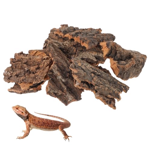 Abaodam 14 Stück Tier Versteckte Hütte Verstecken Zubehör Plattform Gecko Zucht Reptil Einstreu Für Terrarien Versteck Im Aquarium Terrariensubstrat Light Brown Rinde von Abaodam