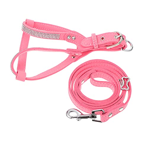 Abaodam 1Satz Hundegeschirr Set Mit Leine Und Halsband Bequemes Und Atmungsaktives Brustgeschirr Für Outdoor Aktivitäten Und Kompakt Hautfreundlich Schützt von Abaodam
