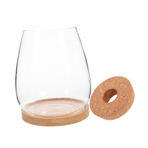 Abaodam Mikrolandschafts Terrarium Glasflasche für Hydrokultur Selbstgemacht Pflanzenbehälter Dekorative Ökologische Flasche Tischschmuck Transparente Vasen für Pflanzen und Moos von Abaodam