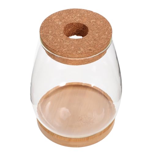 Abaodam 1Satz Hydrokultur Terrarium mit Deckel Dekoratives Pflanzgefäß für Moos und Pflanzen für Tischdekoration Wohnzimmer Büro von Abaodam