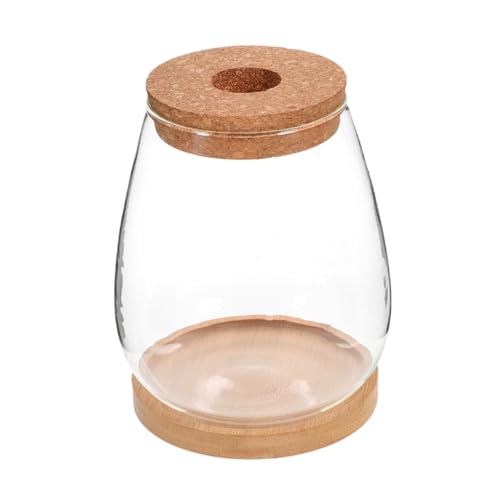 Abaodam Glasterrarium Behälter Für Hydrokultur Pflanzen Terrarium -landschaftsflasche DIY Aufbewahrungsbehälter Für Wohndekoration Indoor Outdoor Abaodam Glasterrarium Behälter Für Hydrokultur Pflanzen Terrarium -landschaftsflasche DIY Aufbewahrungsbehälter Für Wohndekoration Indoor Outdoor von Abaodam