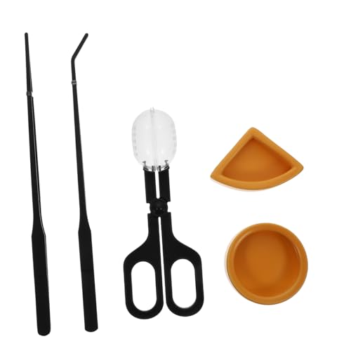 Abaodam 1Satz Reptil Fütterungsschüssel Teiliges Reptilien Food Basin Kit aus Keramik für Eidechsen und Schildkröten Sicher und Komfortabel für Angenehme von Abaodam