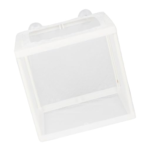 Abaodam 2 STÜCK Fischzucht Isolation Box Klein mit Saugnapf Robustes Aquarium Brutkasten Netz für Fischaufzucht Klarer Sichttank zur Trennung Aggressiver Fische Farbe von Abaodam