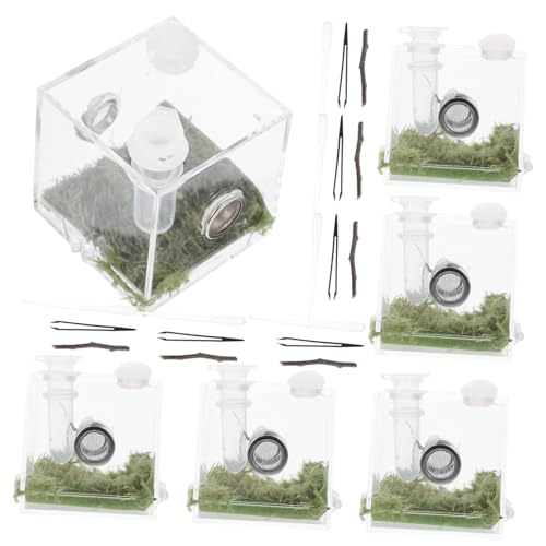 Abaodam 2 Sätze Reptilien Futterbox Transparent Belüftet Kleines Habitat für Springspinne und Insekten Zuchtbox aus Robustem Material zur Beobachtung und Pflege Kleiner Krabbeltiere von Abaodam