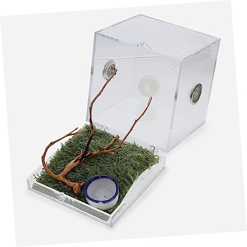 Abaodam 2 Sätze Springspinne Terrarium Reptilien Zuchtbox Transparent Belüftet Beobachtungsbehälter Kleines Insekten Gehege mit Zubehör von Abaodam
