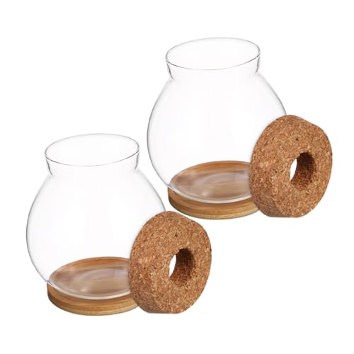 Abaodam 2 Sets Pflanzenanzuchtstation, Glas-pflanzenterrarium Mit Und Deckel, Anzuchtgläser, Hydrokultur-pflanzgefäß Aus Glas Für Frauen Und Mütter Im Garten von Abaodam