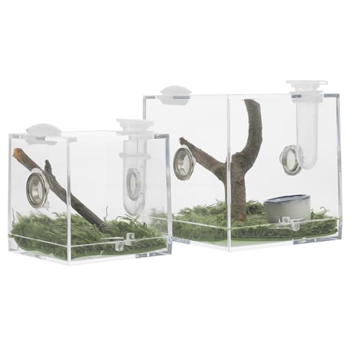 Abaodam 2 Stück Acryl Zuchtbox für Springspinnen Transparentes Terrarium mit Belüftungslöchern Robustes Reptilien Futter Brutbehälter für Kleine Spinnen Geckos und Insekten Langlebig und von Abaodam