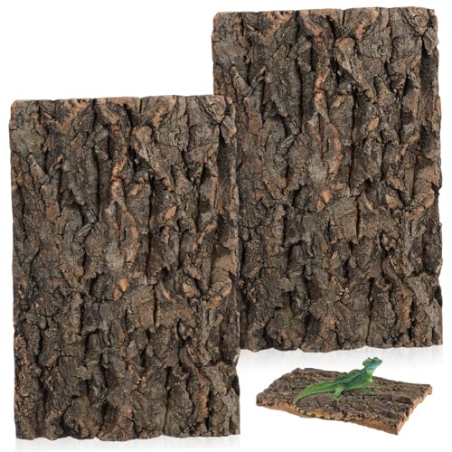 Abaodam 2 Stück Aquarium Dekoration Korkrinde Von Reptilien Eidechsendekor Für Tank Korkrinde Für Reptilien Korkhintergrund Für Terrarium Tank Bellen Natürliche Kork Rinde von Abaodam
