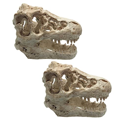 Abaodam 2 Stück Dinosaurier -knochenschmuck Dekoration Dinosaurier-schädel-Handwerk Aquarienschmuck Aquariumzubehör Versteckverzierung Reptil Simulierter Schädel Mini Skelett Form Harz von Abaodam