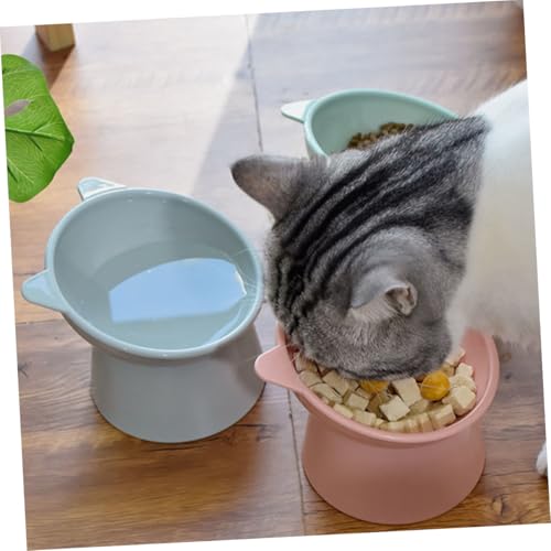 Abaodam 2 Stück Erhöhter Futternapf für Katzen aus Robustem Kunststoff Rutschfestes Design gegen Verschütten Ergonomisch Geneigte Schüssel zur Entlastung der Halswirbelsäule Praktische von Abaodam