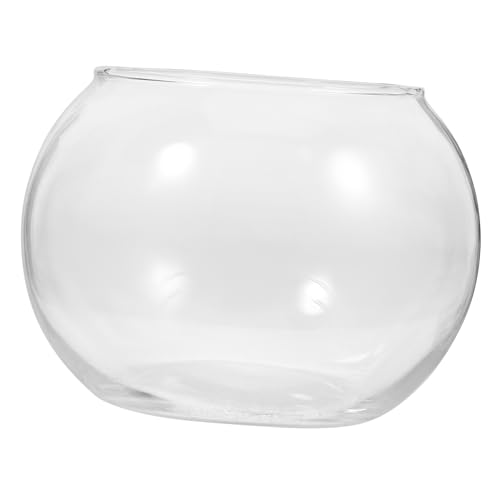 Abaodam 2 Stück Glasfischtank fleischig Pflanzenbehälter Pflanzenterrarium Dekoration Moosbehälter drinnen Terrarium Blumentopf Landschaft Flasche Pflanzgefäß Terrarienschale Terrarienglas von Abaodam