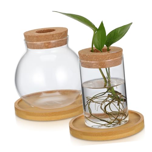 Abaodam 2 Stück Holzvasen Bücherregalvasen Hydrokultur Pflanzvasen Holzvasen Für Tafelaufsätze Pflanzgefäße Terrarien Wohnzimmervasen Glas Transparent von Abaodam