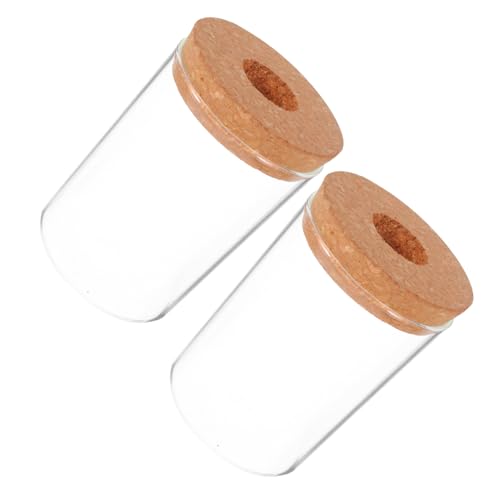 Abaodam 2 Stück Hydrokultur Pflanzflaschenvasen Glas Blumentopf Niedlicher Kanister Glasterrarien Für Pflanzen Pflanzenanzuchtgläser Desktop Anzucht Pflanzgefäße Glas von Abaodam