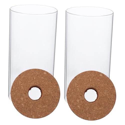 Abaodam 2stücke Terrarium Behälter Hochborosilikatglas Flasche Für Mikrolandschaften Und Moos Pflanzen Dekorative Pflanzflasche Für Wohnräume Und von Abaodam