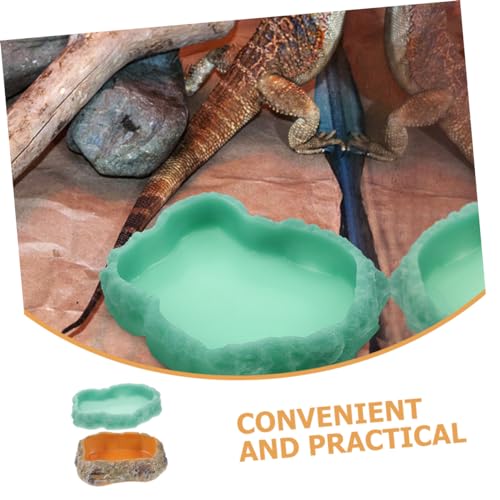 Abaodam 2 Stück Reptilien Futternapf und Wasserschale Xs aus Resin Glatte Leicht zu Reinigende Futter und Trinkschale für Schildkröten Eidechsen Kleine Reptilien und Kleintiere Dekorativ Abaodam 2 Stück Reptilien Futternapf und Wasserschale Xs aus Resin Glatte Leicht zu Reinigende Futter und Trinkschale für Schildkröten Eidechsen Kleine Reptilien und Kleintiere Dekorativ von Abaodam