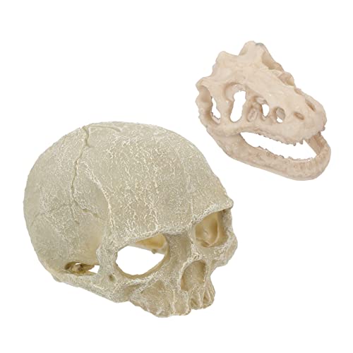 Abaodam 2 Stück Schädel Aquarium Dekoration aus Resin Einzigartige Ornamente für Fischbehälter Wassersäulen und Terrarien Halloween Inspirierte Gestaltung für Lebendige von Abaodam