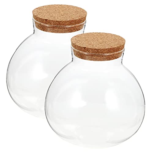 Abaodam 2 Stück Transparente Gläserne Terrarium Flasche Sphärische Ökologische Flasche für Mikrolandschaften DIY Pflanzgefäß ohne Beleuchtung Abaodam 2 Stück Transparente Gläserne Terrarium Flasche Sphärische Ökologische Flasche für Mikrolandschaften DIY Pflanzgefäß ohne Beleuchtung von Abaodam