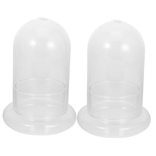 Abaodam 2 x Mikro-Landschaftsflaschen, langlebig, hohes Borosilikatglas, Terrarium-Flasche für Heimwerker, Miniatur-Dekoration für Zuhause, Büro und Garten, schaffen Sie Märchenwelt mit von Abaodam
