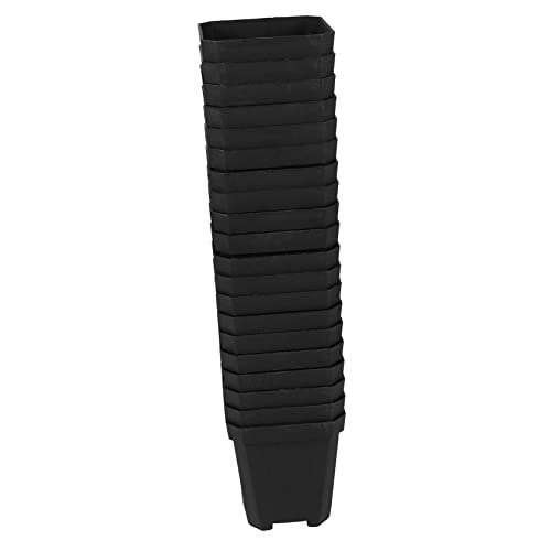 Abaodam 20 Stück Kleine Blumentöpfe Für Saftige Grüne Pflanzen Zum Umpflanzen Durchsichtige Töpfe Für Pflanzen Quadratische Mini Blumentöpfe Starter Töpfe Für Pflanzen Blumentöpfe von Abaodam