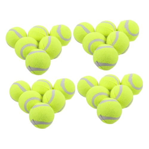 Abaodam 22 Stück Teiliges Hundespielzeug Gummibälle Elastisch Robust für Kleine Mittlere Große Hunde Interaktives Trainingsspielzeug zur Kieferstärkung und Agilitätsförderung Geeignet von Abaodam