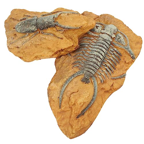 Abaodam 2Stücke Reptilien Dekoration aus Harzfossil Kreative Terrarium Accessoires für Schildkrötenbecken und Langlebig für Eidechsen und Schlangen von Abaodam