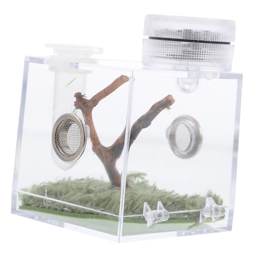 Abaodam 2Stücke Springspinne Habitat Box mit Lampe Hochtransparentes Spinnengehege Teiliges für Insekten und Kleine Reptilien Sicheres Leicht zu Beobachten Abaodam 2Stücke Springspinne Habitat Box mit Lampe Hochtransparentes Spinnengehege Teiliges für Insekten und Kleine Reptilien Sicheres Leicht zu Beobachten von Abaodam