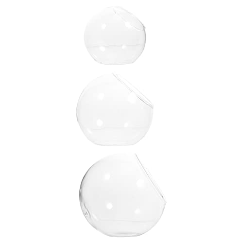 Abaodam 3stücke Glas Vasen Flaschenbehälter Luftpflanzen Terrarium Mikrolandschafts Glasflasche Blumen Terrarium Pflanzen Innenraum Dekoration von Abaodam