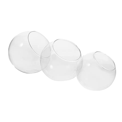 Abaodam 3 Stück Moosglasflasche Gartenarbeit große Vase Container Gläser Luftpflanzentopf Flaschenpflanzer Glasterrarien für Pflanzen Terrarienglas Klare Glas -Terrariumschalen Abaodam 3 Stück Moosglasflasche Gartenarbeit große Vase Container Gläser Luftpflanzentopf Flaschenpflanzer Glasterrarien für Pflanzen Terrarienglas Klare Glas -Terrariumschalen von Abaodam