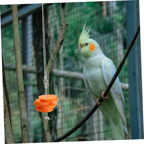 Abaodam 3 Stück Teiliges Edelstahl Vogel futterspender Rostfrei mit Kette zum Aufhängen für Papageien Geeignet Vielseitiger Obst Gemüsehalter Langlebig und Installieren von Abaodam