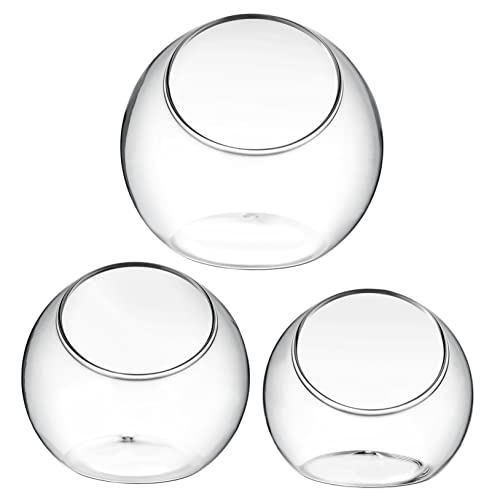 Abaodam 3Stücke Terrarium Glasvasen Für Luftpflanzen Dekorative Pflanzgefäße Ökosysteme von Abaodam