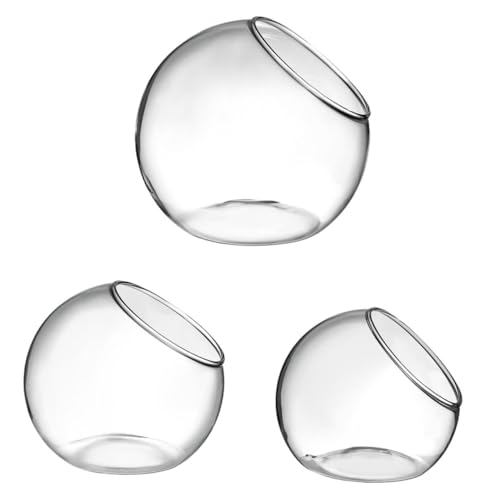 Abaodam 3Stücke Terrarium für DIY Mikrolandschaften Ökologische Pflanze Glasbehälter Vielseitige Dekoration für Innenräume Hochzeiten und Geburtstagsfeiern von Abaodam