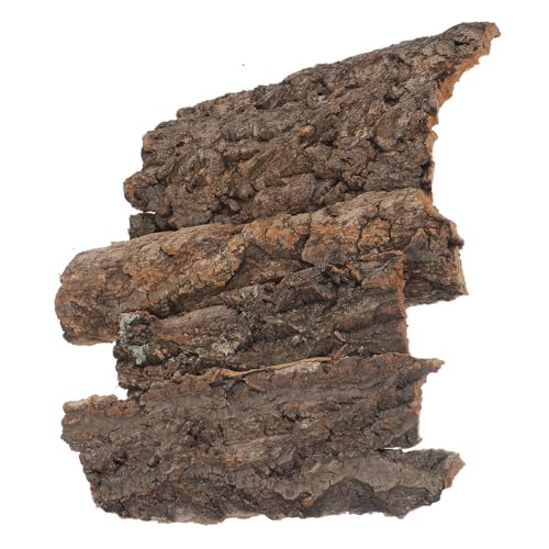 Abaodam 4 Stück Kletterplattform-Dekoration Baumrinde für Reptilien Reptilienzubehör Party Echsenkletterplattform Geckos Accessoires für Bartagamen Zubehör für Schildkrötenpanzer Hellbraun Abaodam 4 Stück Kletterplattform-Dekoration Baumrinde für Reptilien Reptilienzubehör Party Echsenkletterplattform Geckos Accessoires für Bartagamen Zubehör für Schildkrötenpanzer Hellbraun von Abaodam