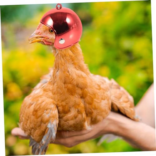 Abaodam 4 Stück Vogelhelm für Haustiere Lustige und Kreative Schutzhelme für Hühner und Kleine Vögel Sicher und Robust Requisite für Küken und Papageien Abaodam 4 Stück Vogelhelm für Haustiere Lustige und Kreative Schutzhelme für Hühner und Kleine Vögel Sicher und Robust Requisite für Küken und Papageien von Abaodam