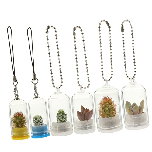 Abaodam 6stücke Luftpflanzen - Terrarium Glasterrarium Miniatur-anhänger Schlüsselanhänger Mini-anzuchttopf Miniatur-vase Vasen-anhänger Als Schlüsselanhänger Mini-glasterrarium Glasterrar von Abaodam