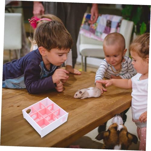 Abaodam Acryl Hamster Labyrinth mit Tunnel Sicheres Pet Habitat Haus für Zwerghamster Mäuse und Kleine Kleintiere Pflegeleicht und Kratzfest für Tägliche Bewegung Abaodam Acryl Hamster Labyrinth mit Tunnel Sicheres Pet Habitat Haus für Zwerghamster Mäuse und Kleine Kleintiere Pflegeleicht und Kratzfest für Tägliche Bewegung von Abaodam