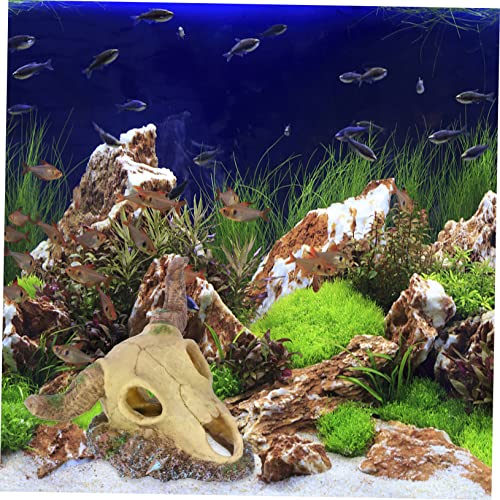 Abaodam Aquarium Dekoration Schaf Schädel aus Harz Naturgetreues Fish Tank Craft Ornament Umweltfreundlich Lebensecht Modelliert Einzigartiges Landschaftsdekor für Aquarium und Terrarium Abaodam Aquarium Dekoration Schaf Schädel aus Harz Naturgetreues Fish Tank Craft Ornament Umweltfreundlich Lebensecht Modelliert Einzigartiges Landschaftsdekor für Aquarium und Terrarium von Abaodam