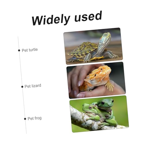 Abaodam Automatischer Reptilien Wasserspender aus Langlebigem Geruchlosem Material Kippsicher und Sicher für Haustiere Leichte Tragbare Trinkschale für Schildkröten Echsen und Schlangen Abaodam Automatischer Reptilien Wasserspender aus Langlebigem Geruchlosem Material Kippsicher und Sicher für Haustiere Leichte Tragbare Trinkschale für Schildkröten Echsen und Schlangen von Abaodam