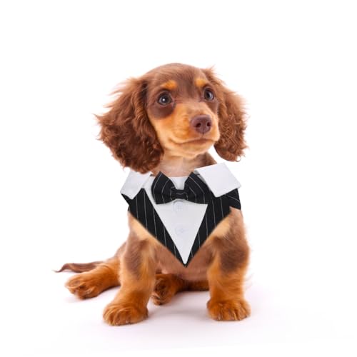 Abaodam Bequemer Hundesmoking mit Stilvoller Fliege Eleganter Haustieranzug für Hochzeitsfeier und Festliche Anlässe Hochwertiges Hautfreundliches Material Leichte Passform für Kleine von Abaodam